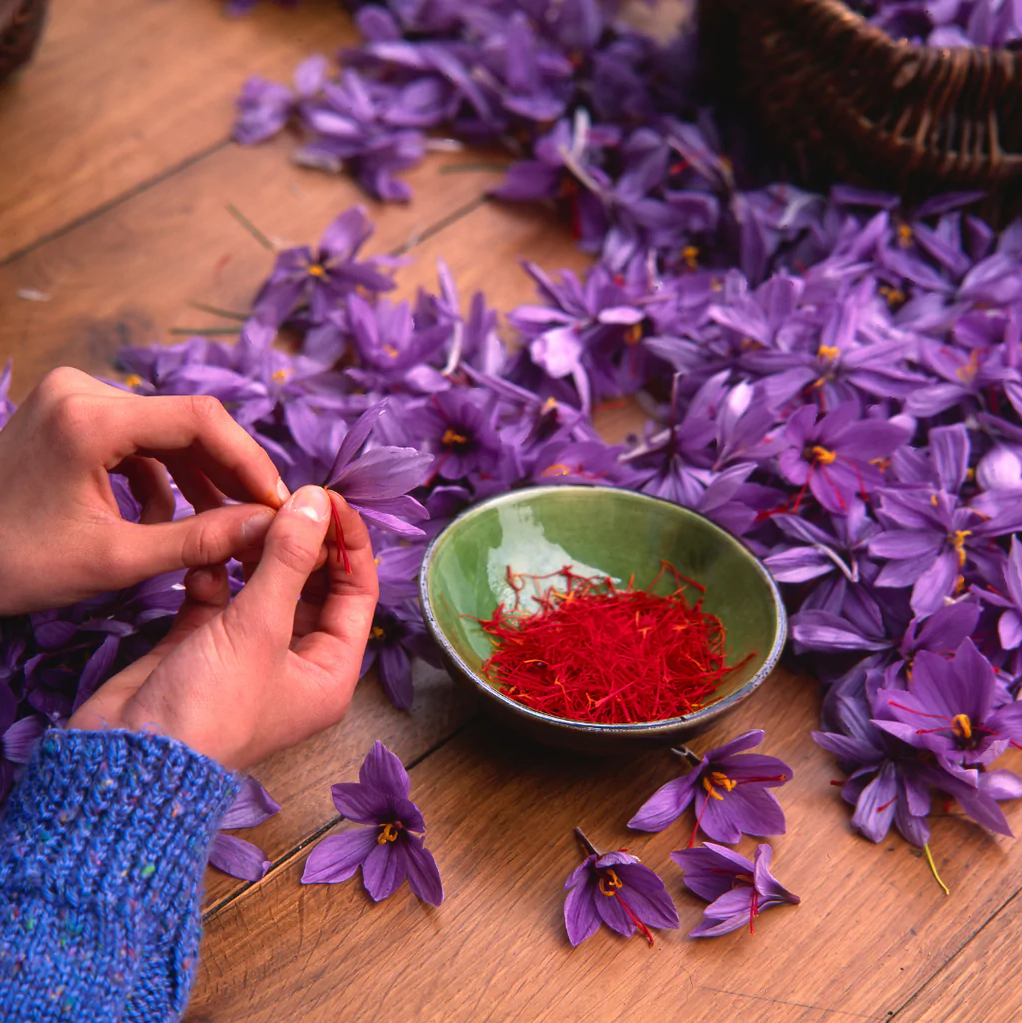 How to Choose the Best Saffron: Ultimate Guide