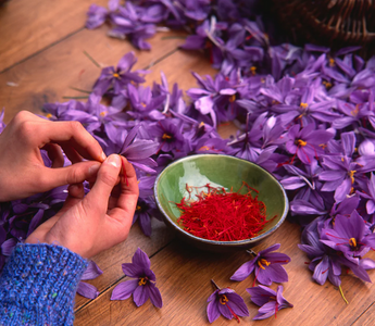 How to Choose the Best Saffron: Ultimate Guide