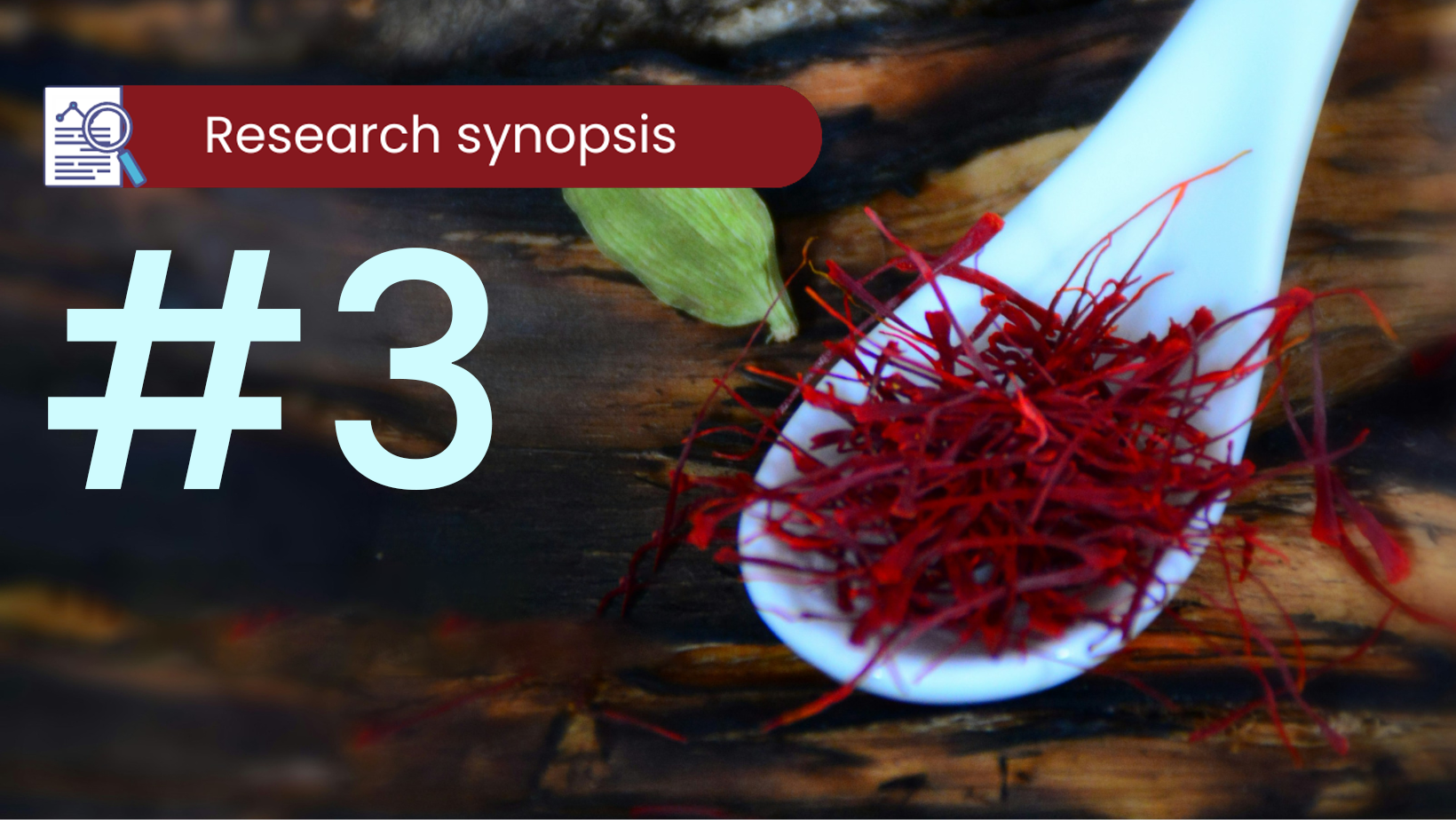 The Anticarcinogenic effect of saffron and its ingredients